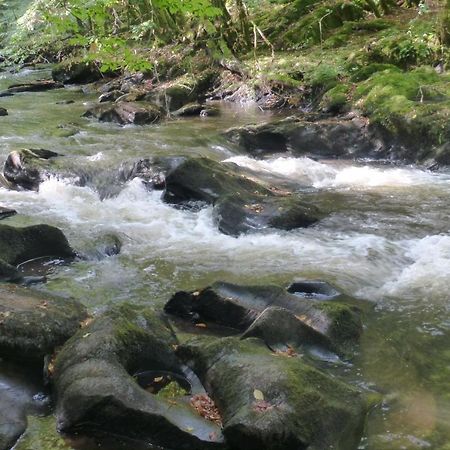 Отель Au Fil De L'Eau Grupont Экстерьер фото